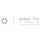Corporate Identity - Anmol Star
